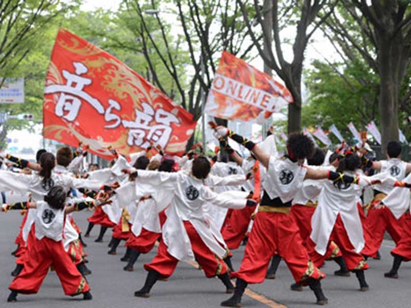 contact_1 (800×600 4-3) 